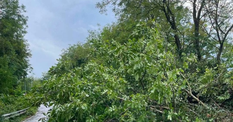 METEO - FORTE TEMPORALE SU PIEDIMONTE