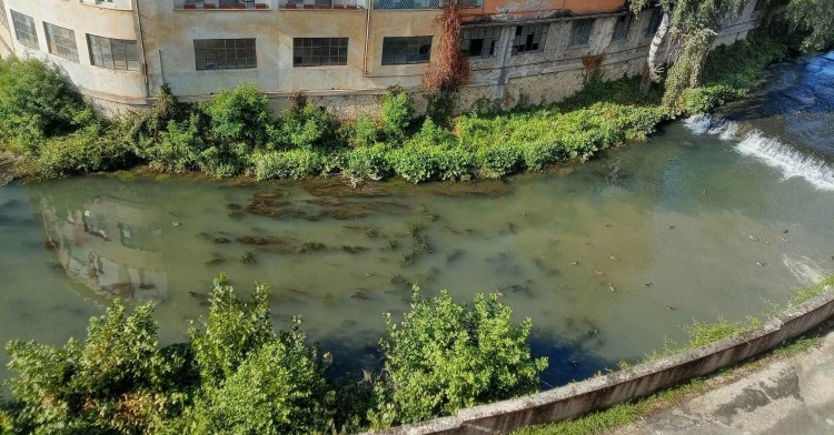 ISOLA LIRI AMBIENTE - SPAVENTOSO SCARICO DI LIQUAMI