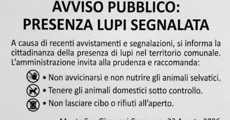 MONTE - SEGNALATA LA PRESENZA DI LUPI