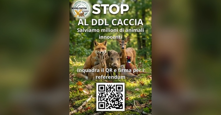 ARPINO/ISOLA - STOP ALLA CACCIA