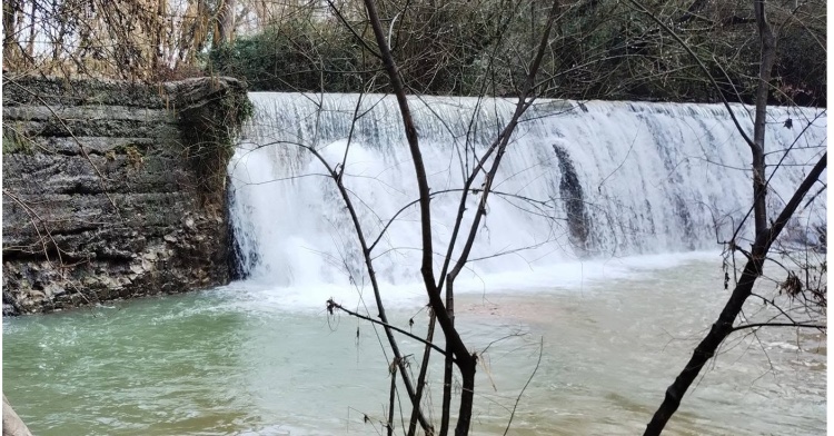 AMBIENTE - FIUME COSA SOFFOCATO DAI VELENI