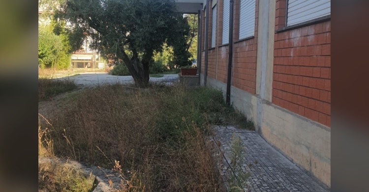 VEROLI - LE SCUOLE, LA CAMPANELLA E IL DECESPUGLIATORE