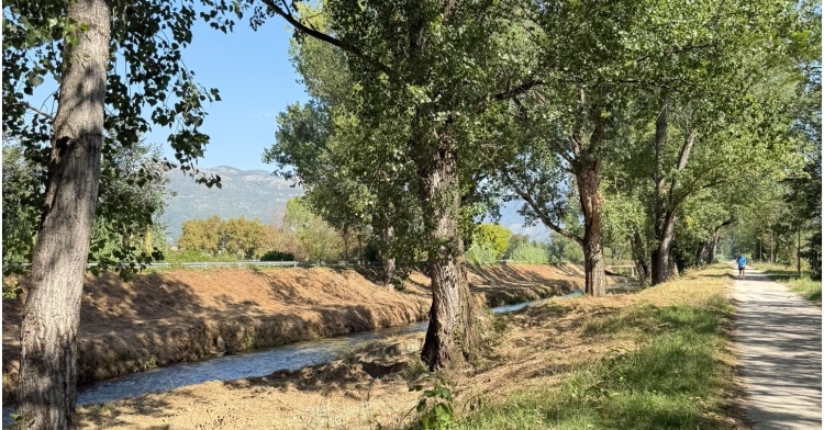 CASSINO AMBIENTE - SOPRALLUOGO SUL LUNGOFIUME