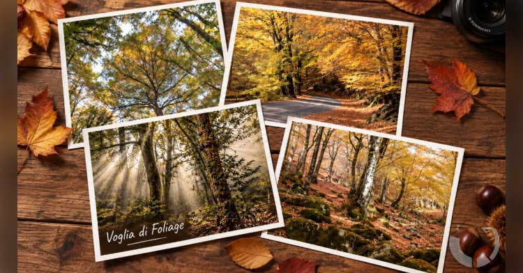 AMBIENTE - VOGLIA DI FOLIAGE