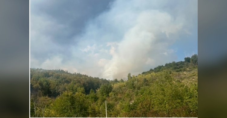 MONTE - SOLITO INCENDIO NELLA PINETA DELLA BAGNARA